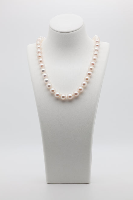 8-10mm | Eternal Elegance | Classic White Freshwater Pearl Necklace | Bean Clasp